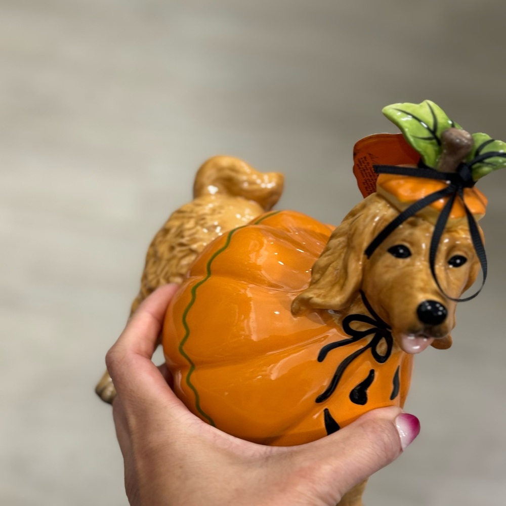 Blue Sky Orange Pumpkin Dog Toy